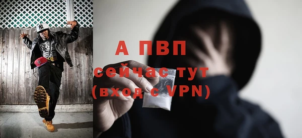 сатива Баксан