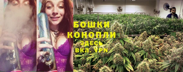 сатива Баксан