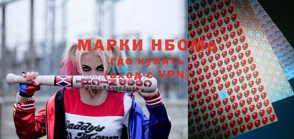 сатива Баксан
