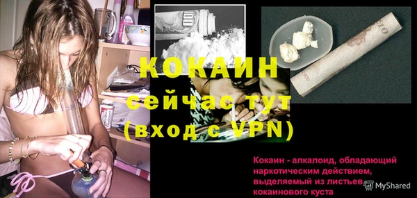 сатива Баксан