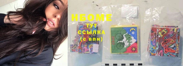 сатива Баксан
